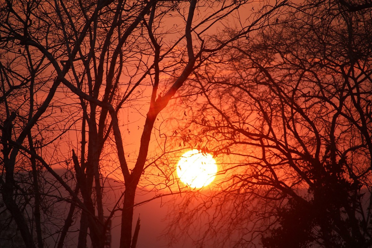 Plaque funéraire - coucher de soleil avec la silhouette des arbres